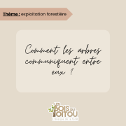communication, arbres - Les Bois du Poitou